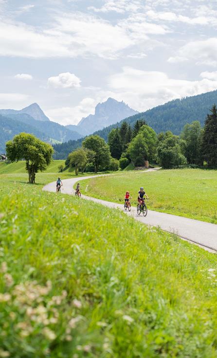 Una famiglia fa una gita in bici